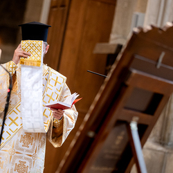 Göttliche Liturgie Stephansdom